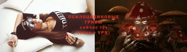 ГАЛЛЮЦИНОГЕННЫЕ ГРИБЫ Аркадак
