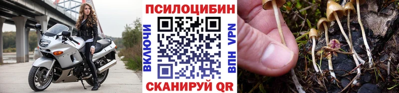 kraken зеркало  Карачаевск  Галлюциногенные грибы мицелий 